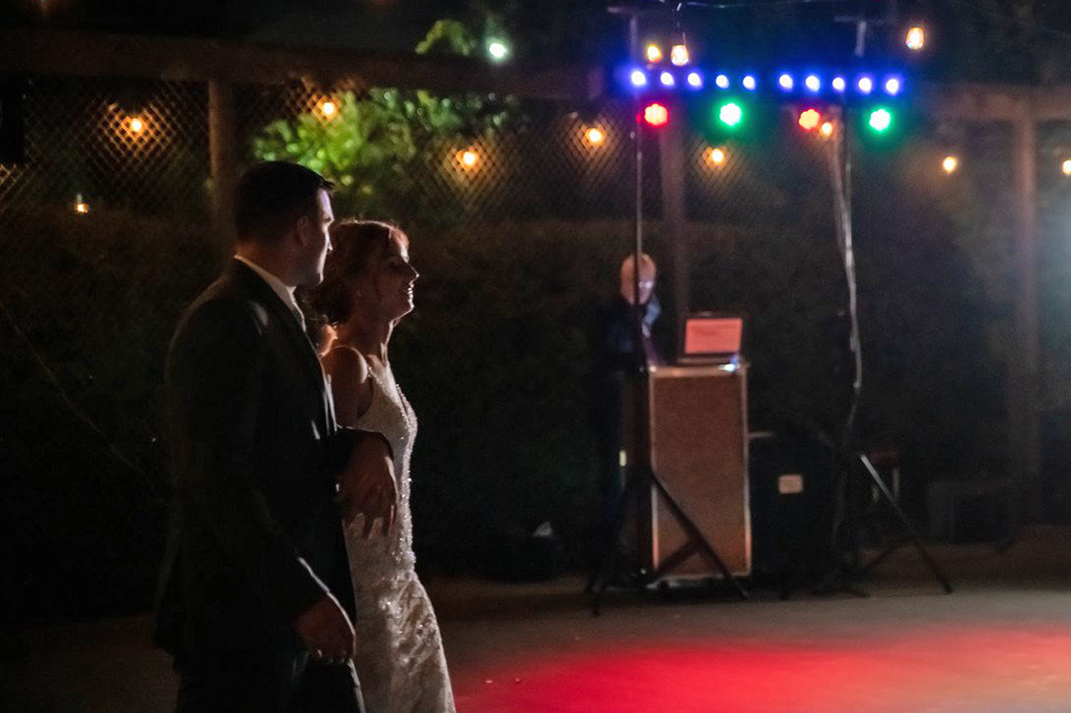Toasting the Bride & Groom - Wedding DJ/MC Services